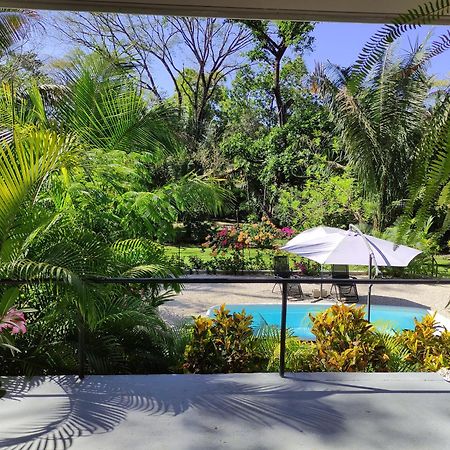 House In The Palm Forest คาร์ริลโล ภายนอก รูปภาพ