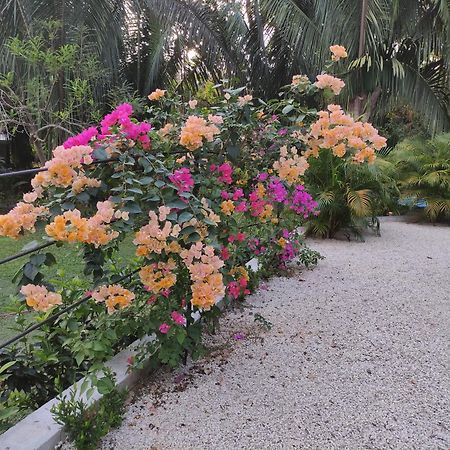 House In The Palm Forest คาร์ริลโล ภายนอก รูปภาพ