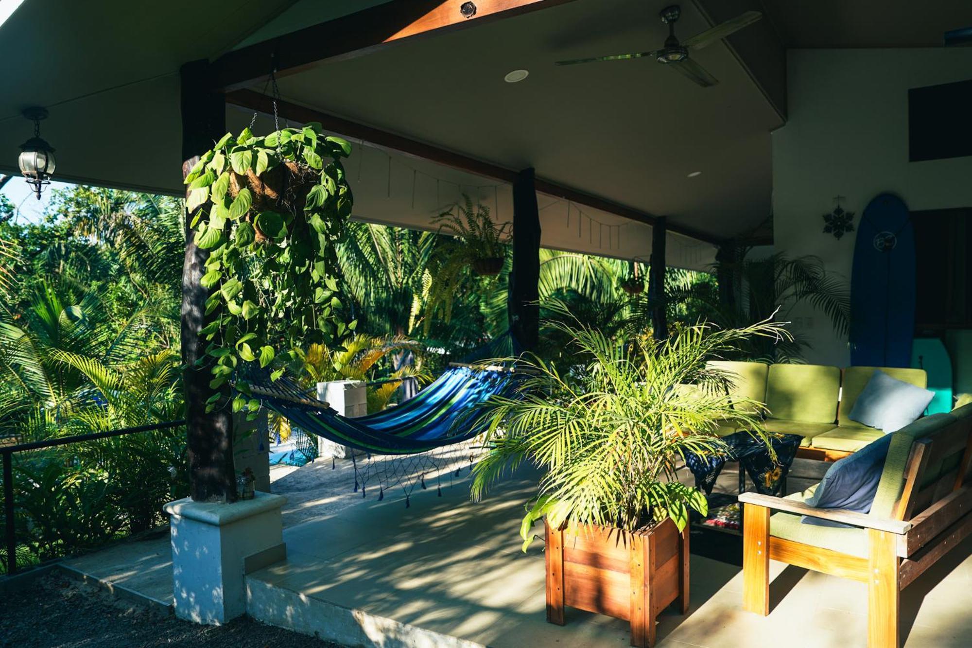 House In The Palm Forest คาร์ริลโล ภายนอก รูปภาพ