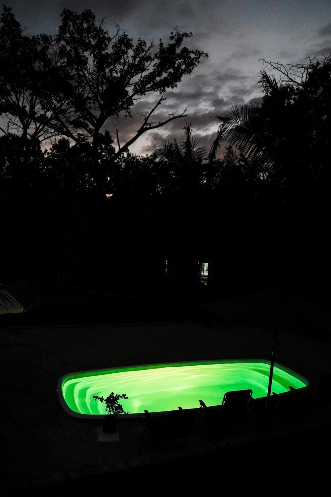 House In The Palm Forest คาร์ริลโล ภายนอก รูปภาพ