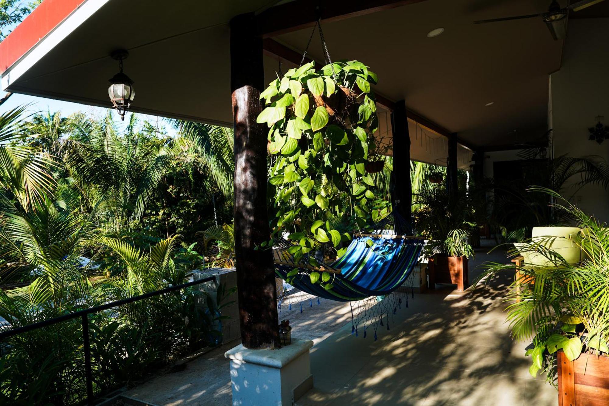 House In The Palm Forest คาร์ริลโล ภายนอก รูปภาพ