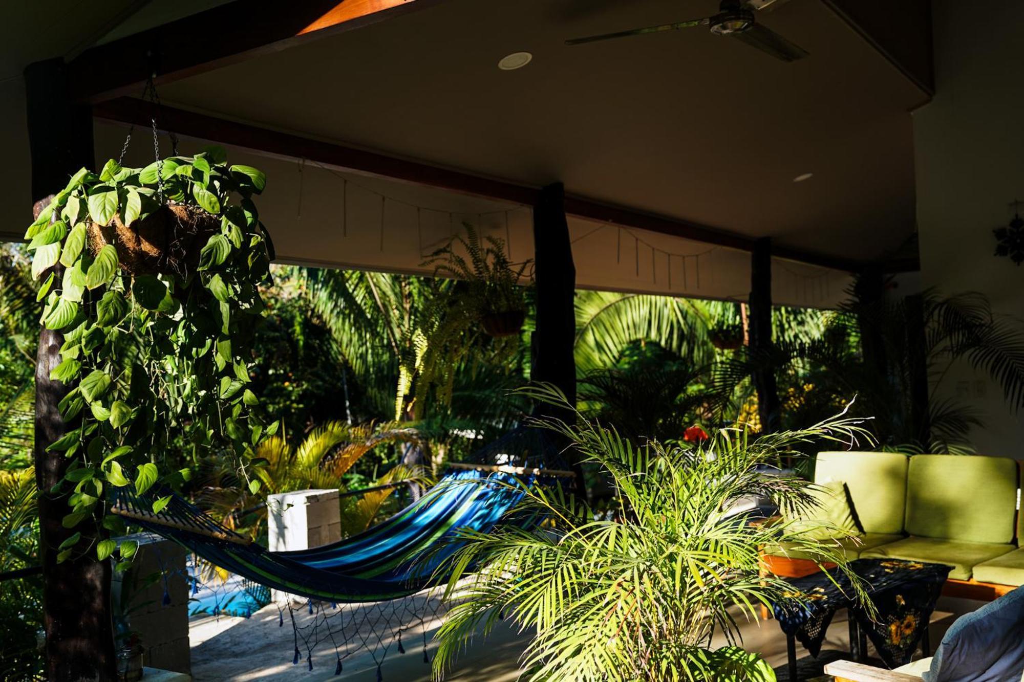 House In The Palm Forest คาร์ริลโล ภายนอก รูปภาพ