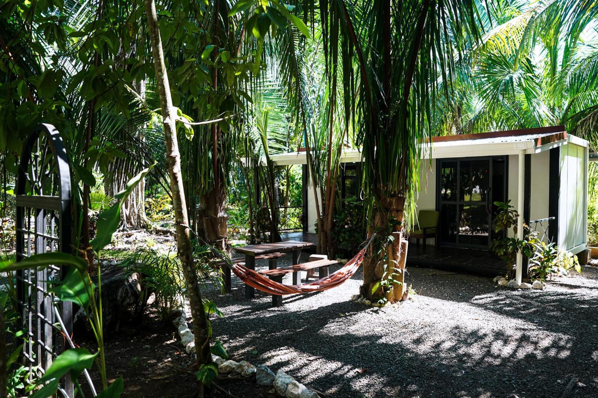 House In The Palm Forest คาร์ริลโล ภายนอก รูปภาพ