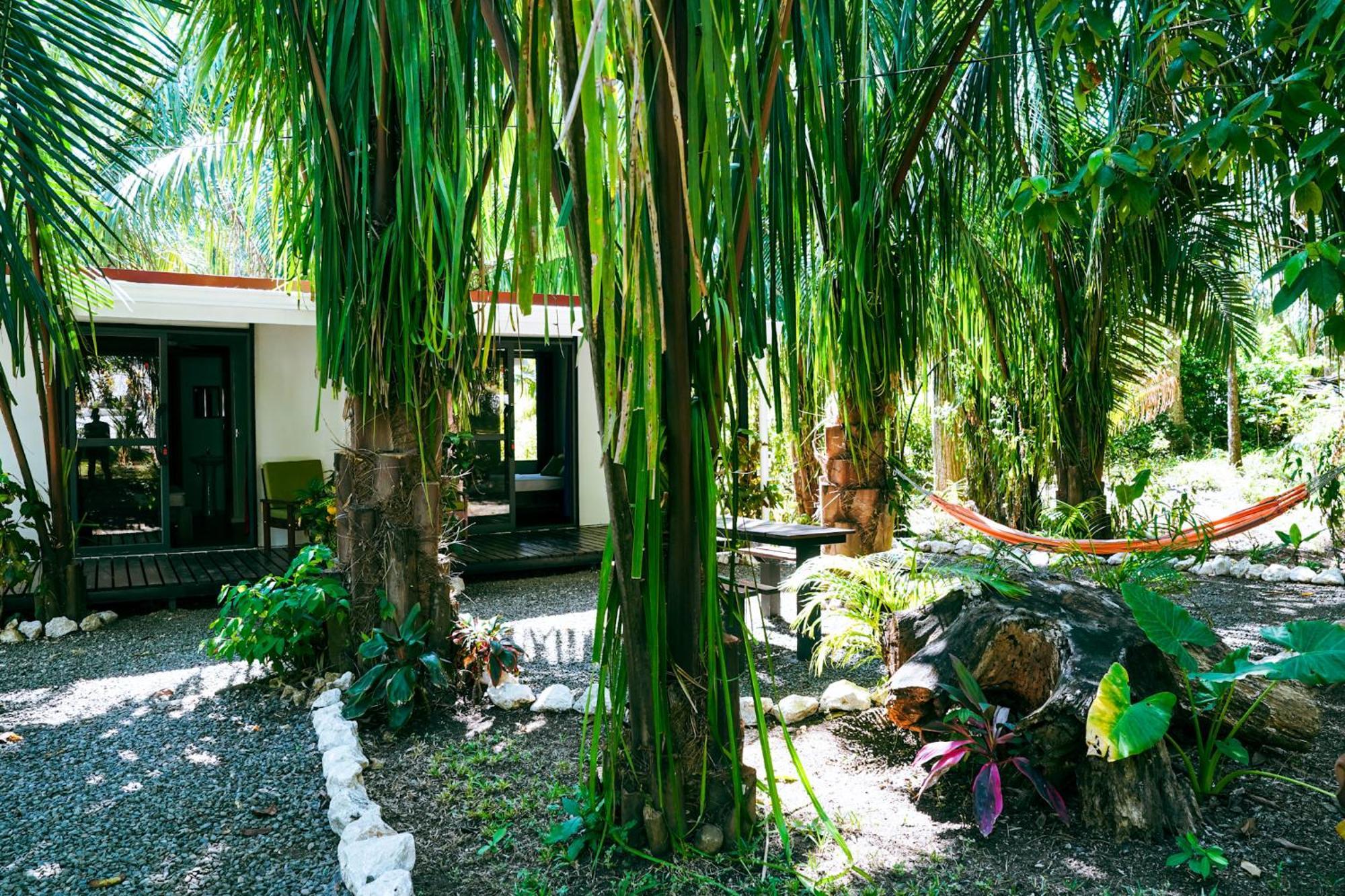 House In The Palm Forest คาร์ริลโล ภายนอก รูปภาพ