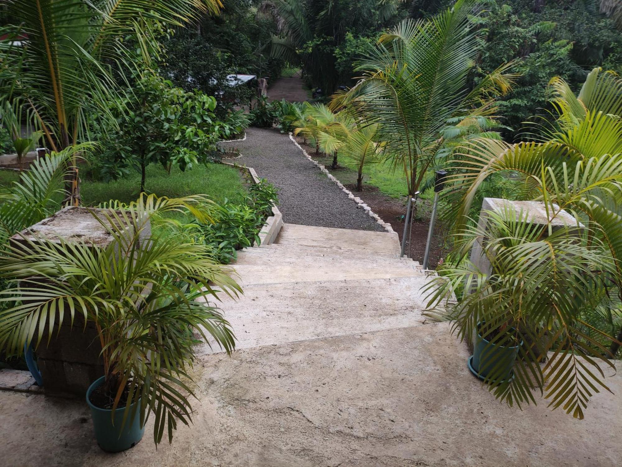 House In The Palm Forest คาร์ริลโล ภายนอก รูปภาพ