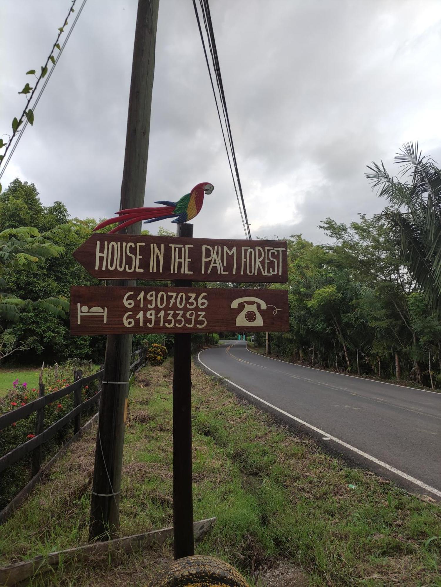 House In The Palm Forest คาร์ริลโล ภายนอก รูปภาพ