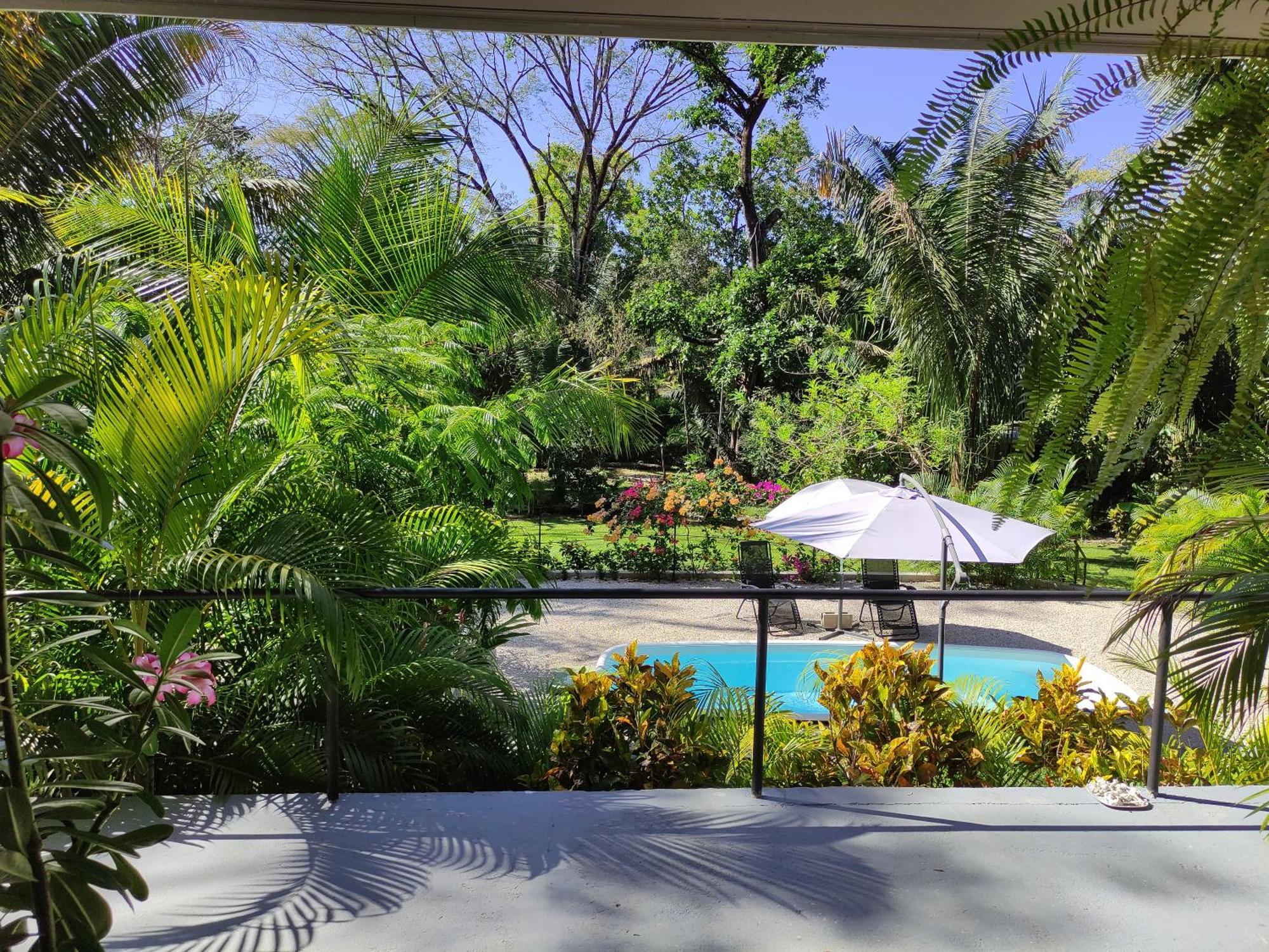 House In The Palm Forest คาร์ริลโล ภายนอก รูปภาพ